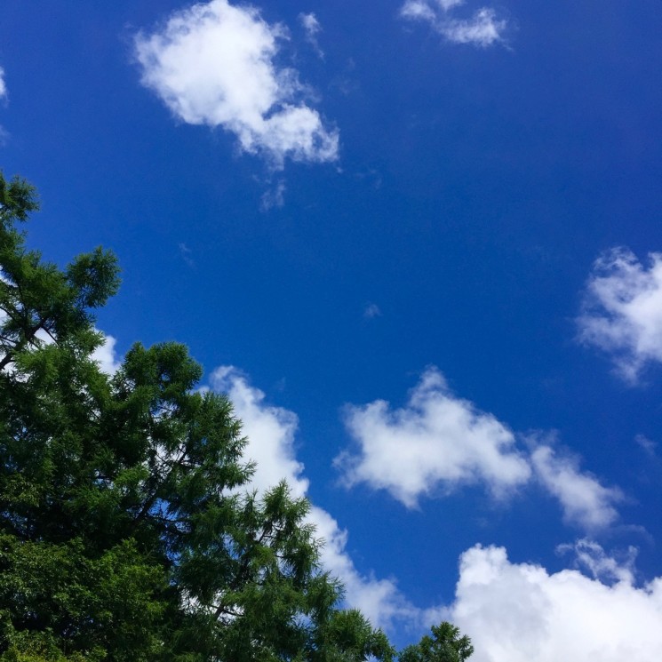 夏の空 中西代表 環境への取り組み