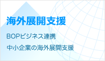 海外展開支援