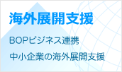 海外展開支援