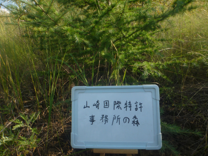 山崎国際特許事務所の森