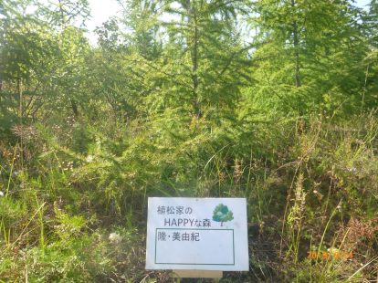 植松家のハッピーな森