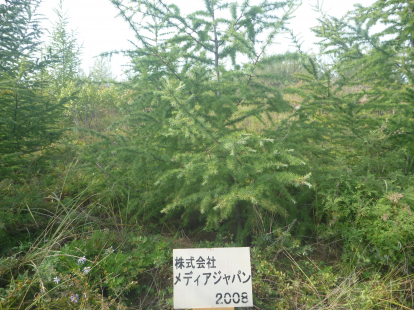 メディアジャパンの森