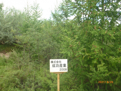 成功産業の森