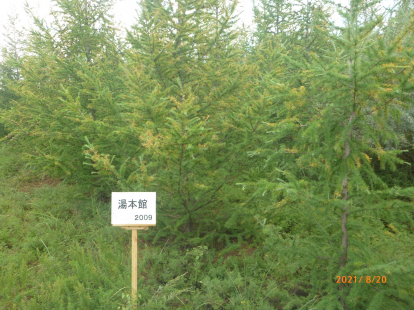 湯元館の森