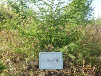 上地様の森