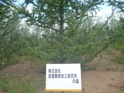㈱放電精密加工研究所 座間事業所の森
