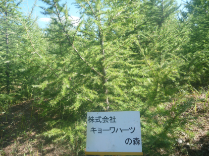株式会社キョーワハーツの森