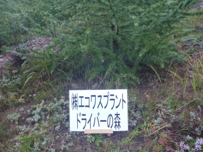 エコワスプラント　ドライバーの森