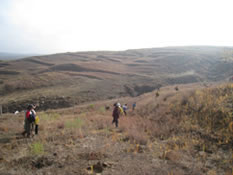 中国内蒙古における植林