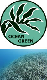 一般社団法人 海洋緑化協会