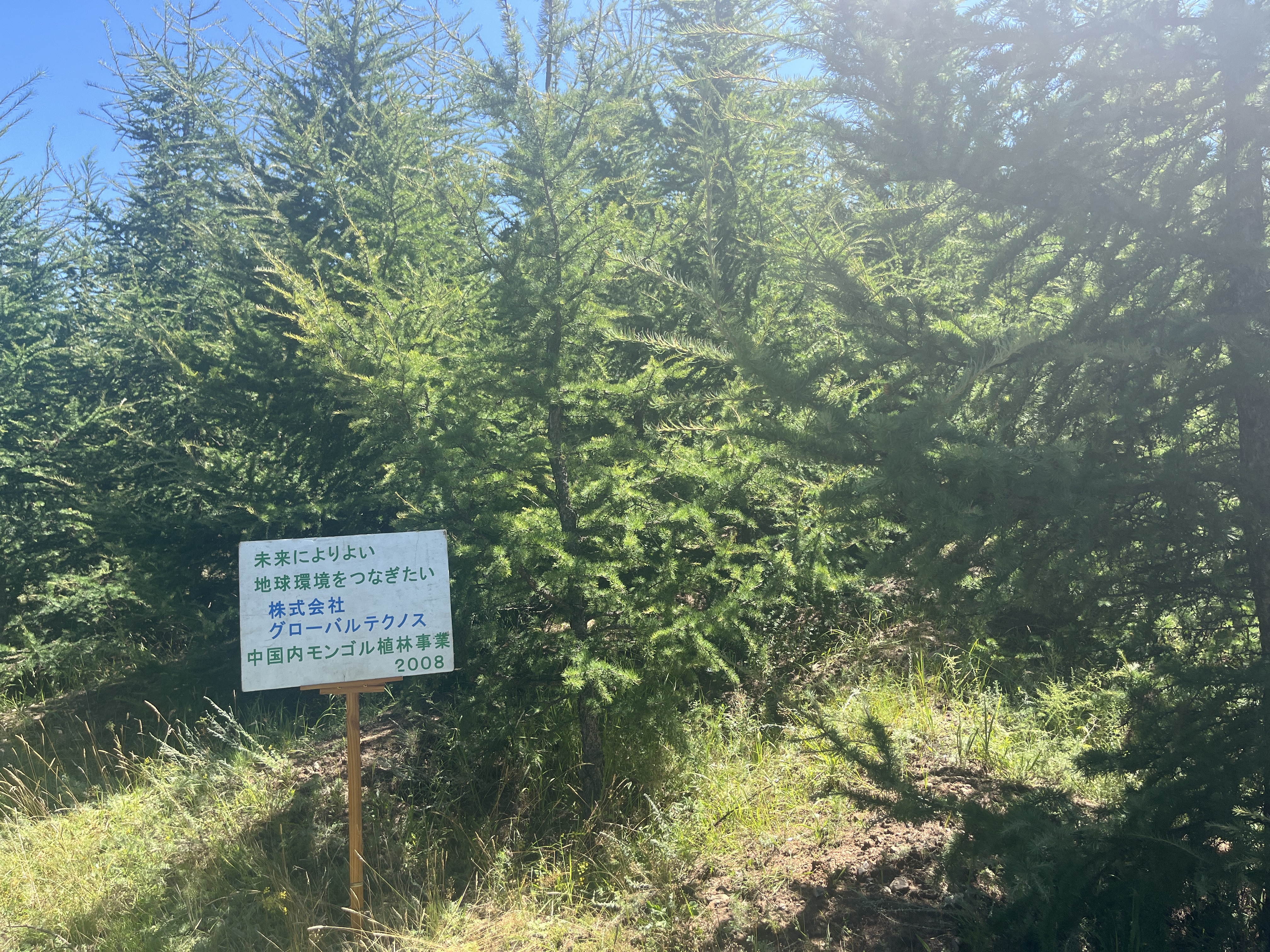 グローバルテクノスの森