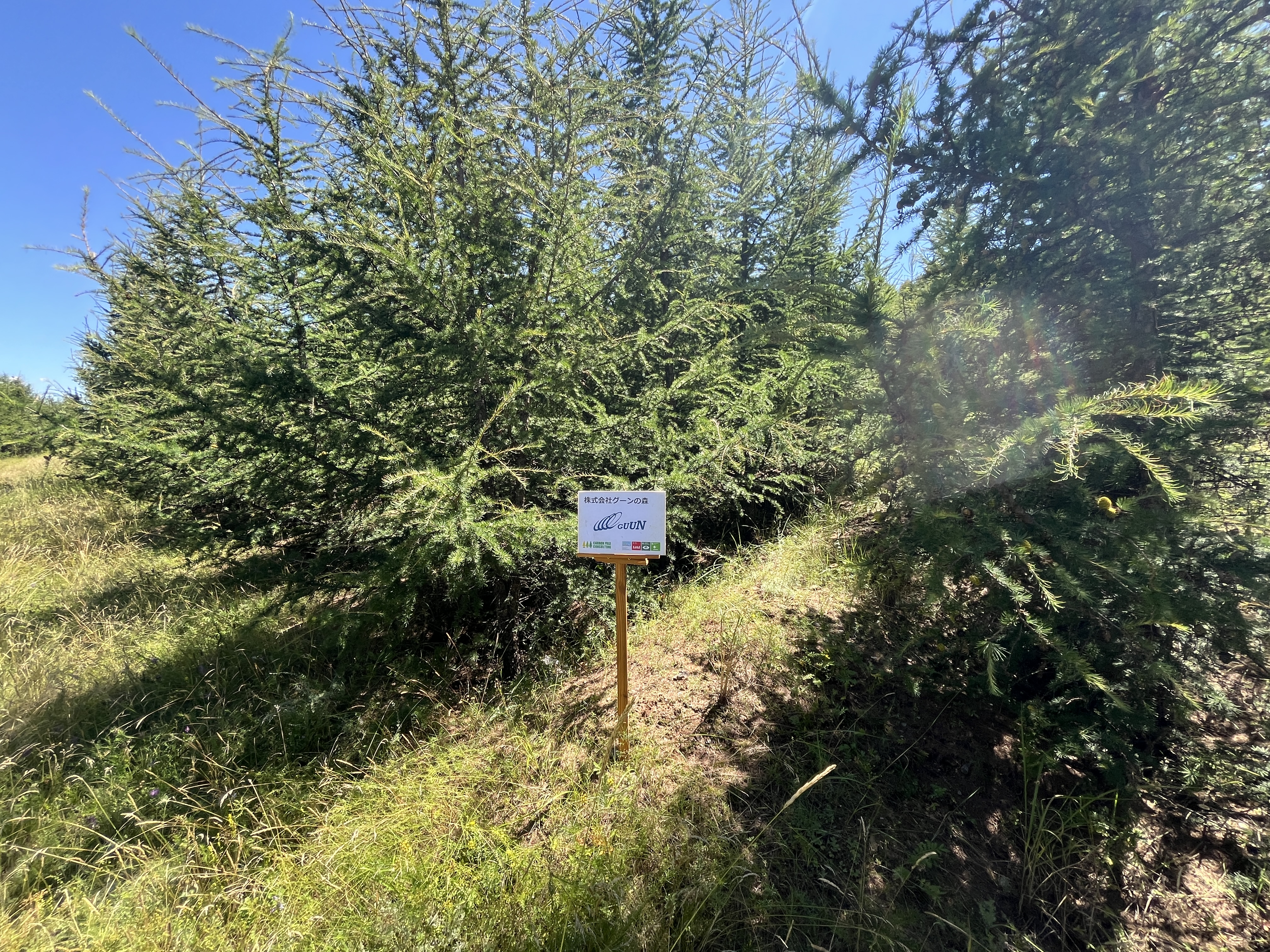 GUUNの森