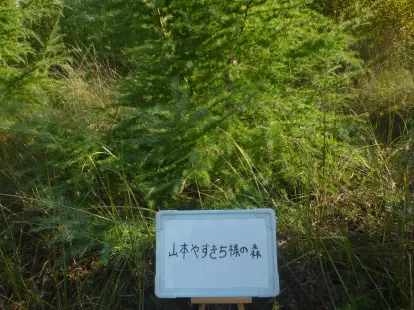 山本やすきち様の森