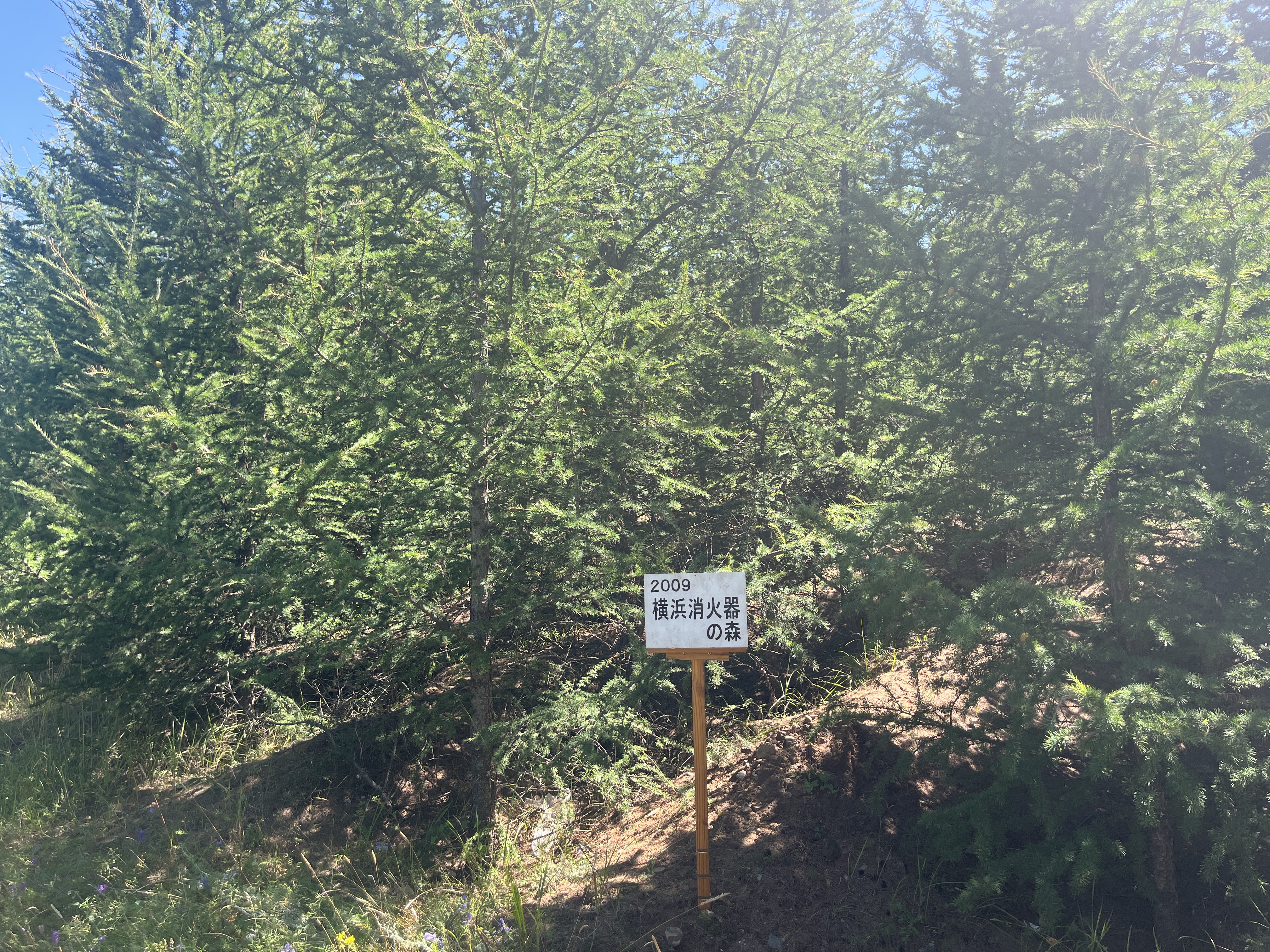 横浜消火器の森