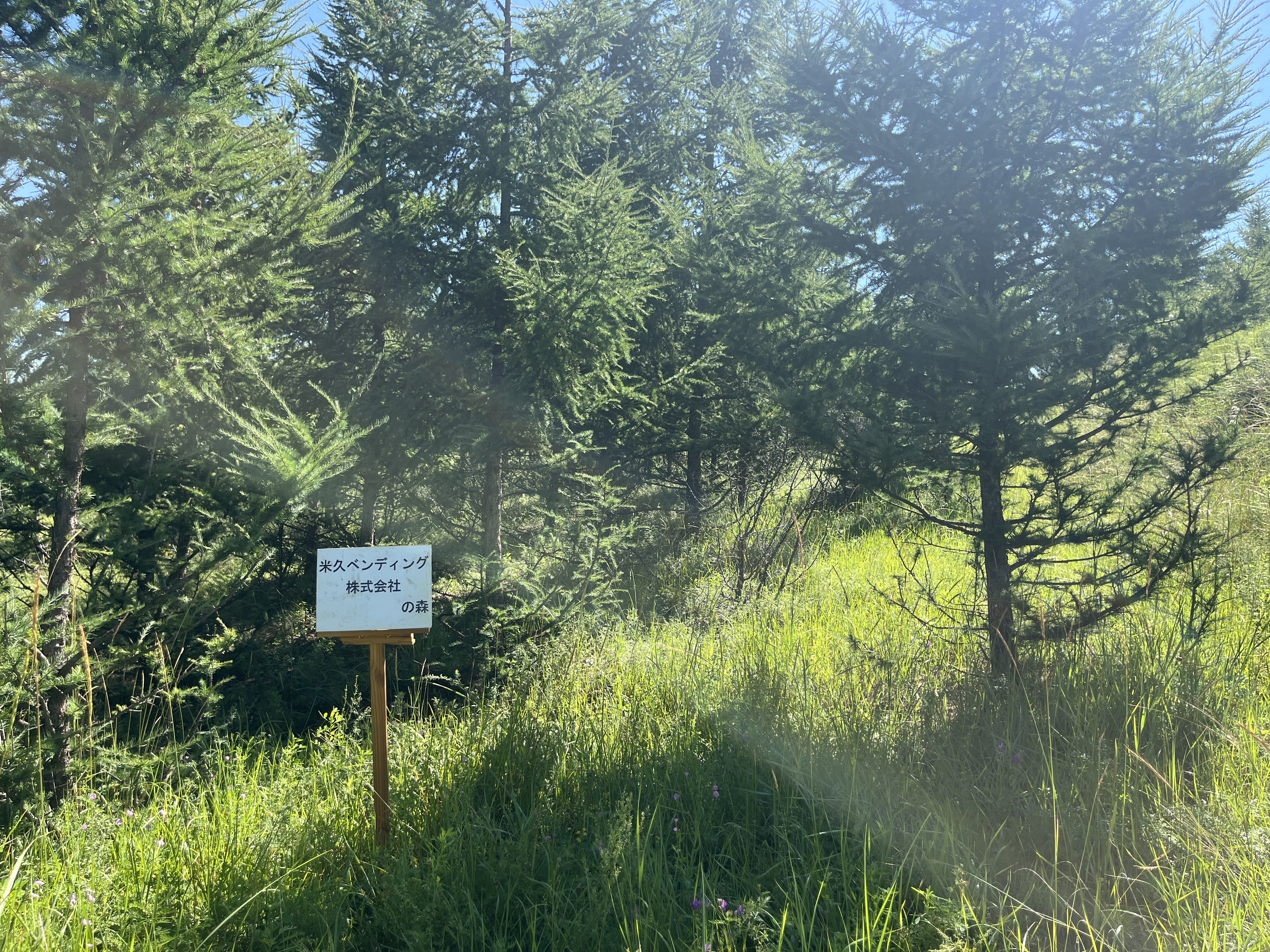 米久ベンディング株式会社の森