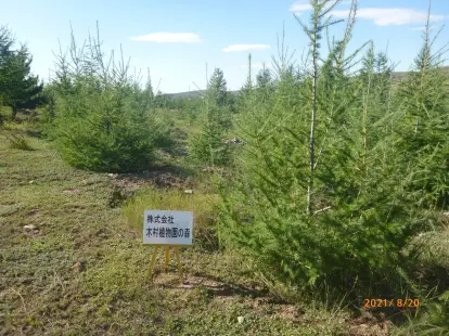 木村植物園の森