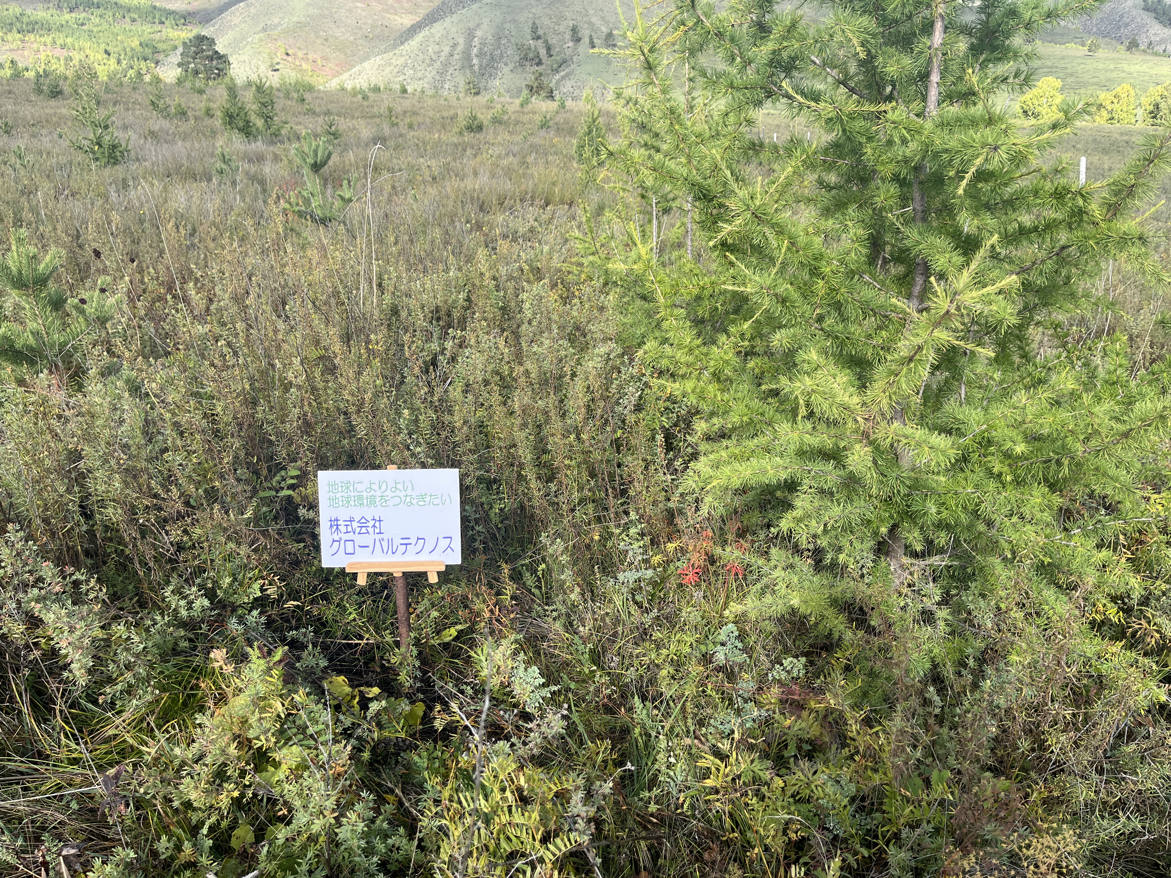 グローバルテクノスの森