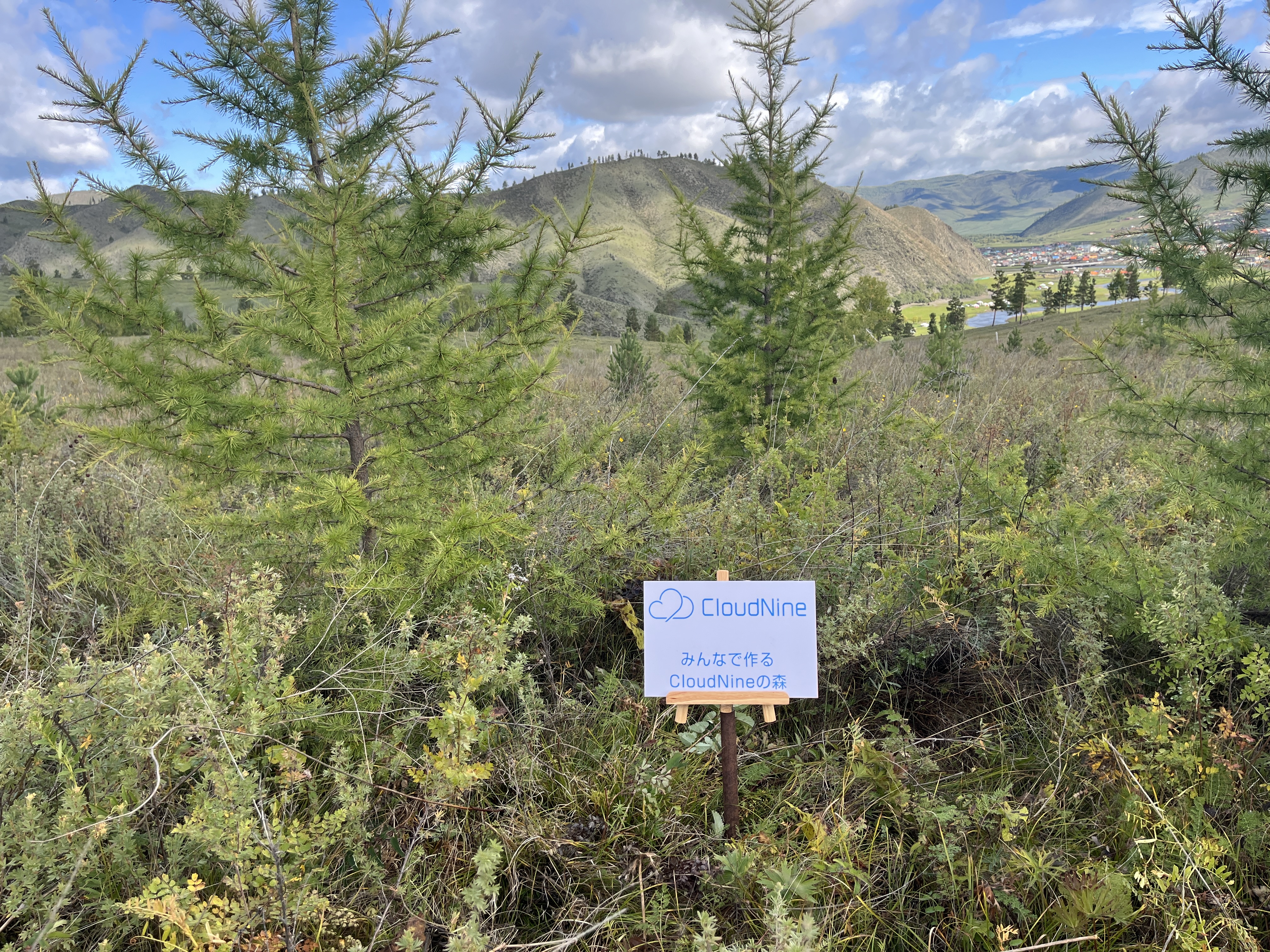 みんなで作るCloud Nineの森