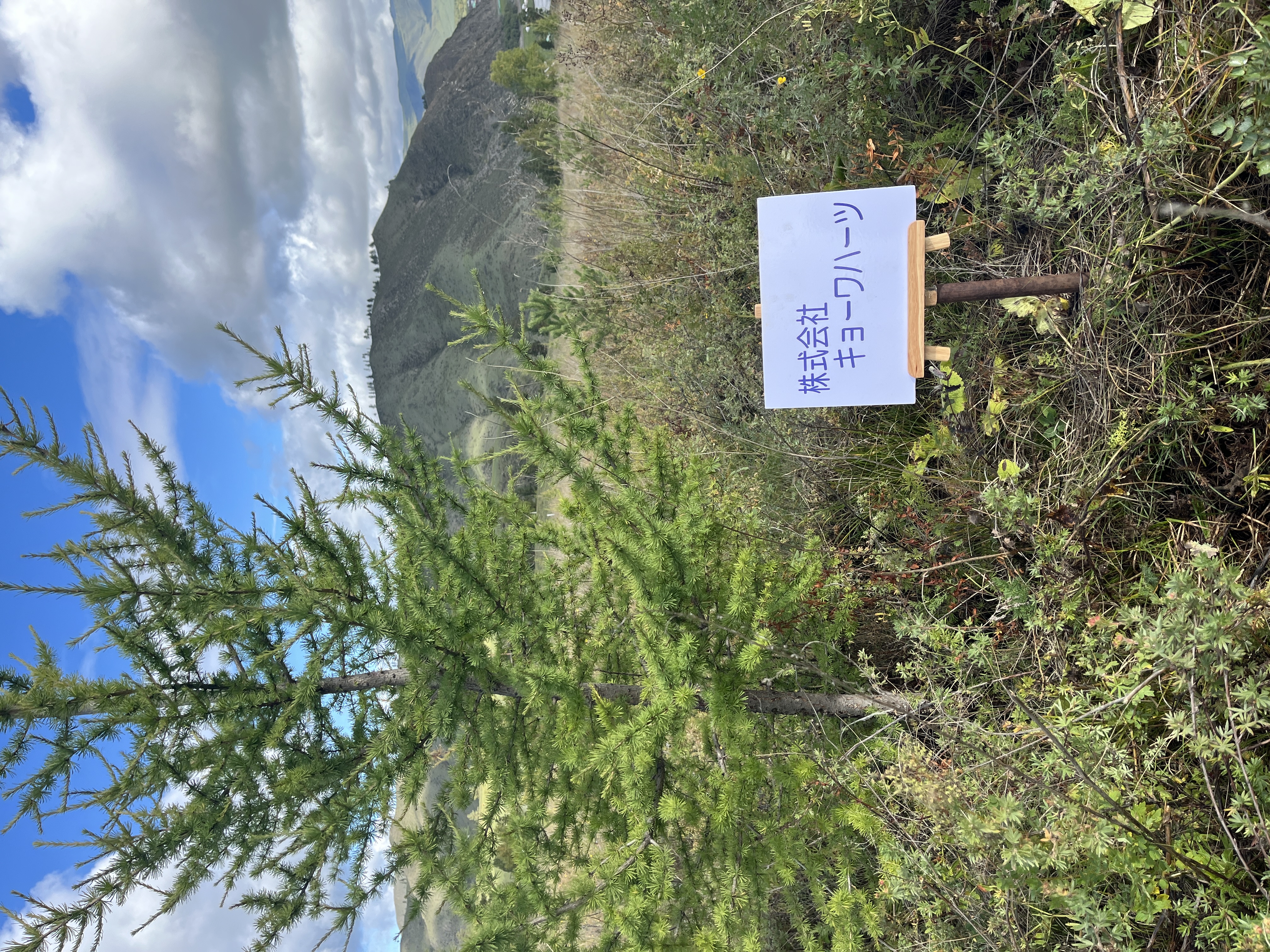 株式会社キョーワハーツの森