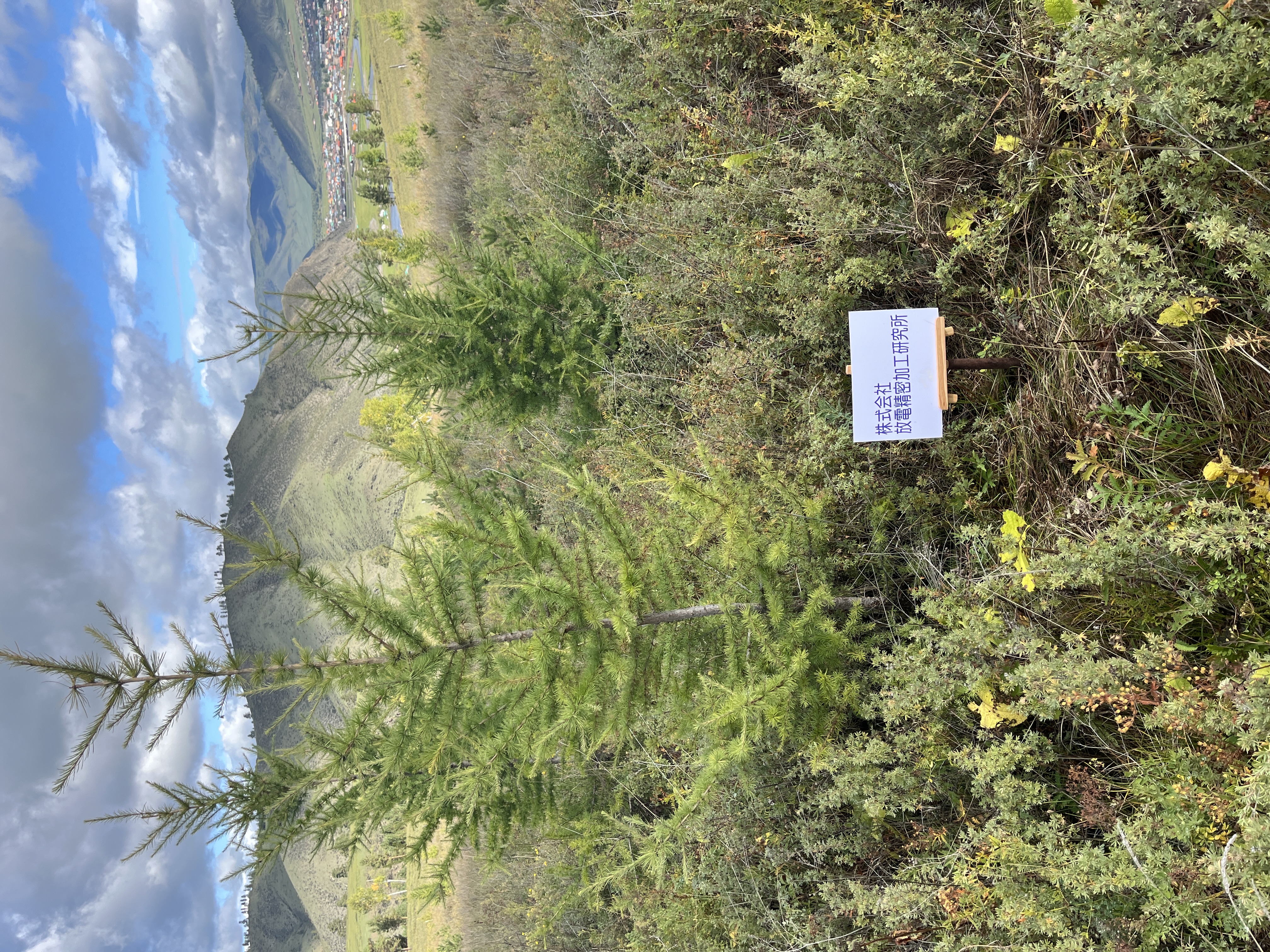 ㈱放電精密加工研究所 大和事業所の森