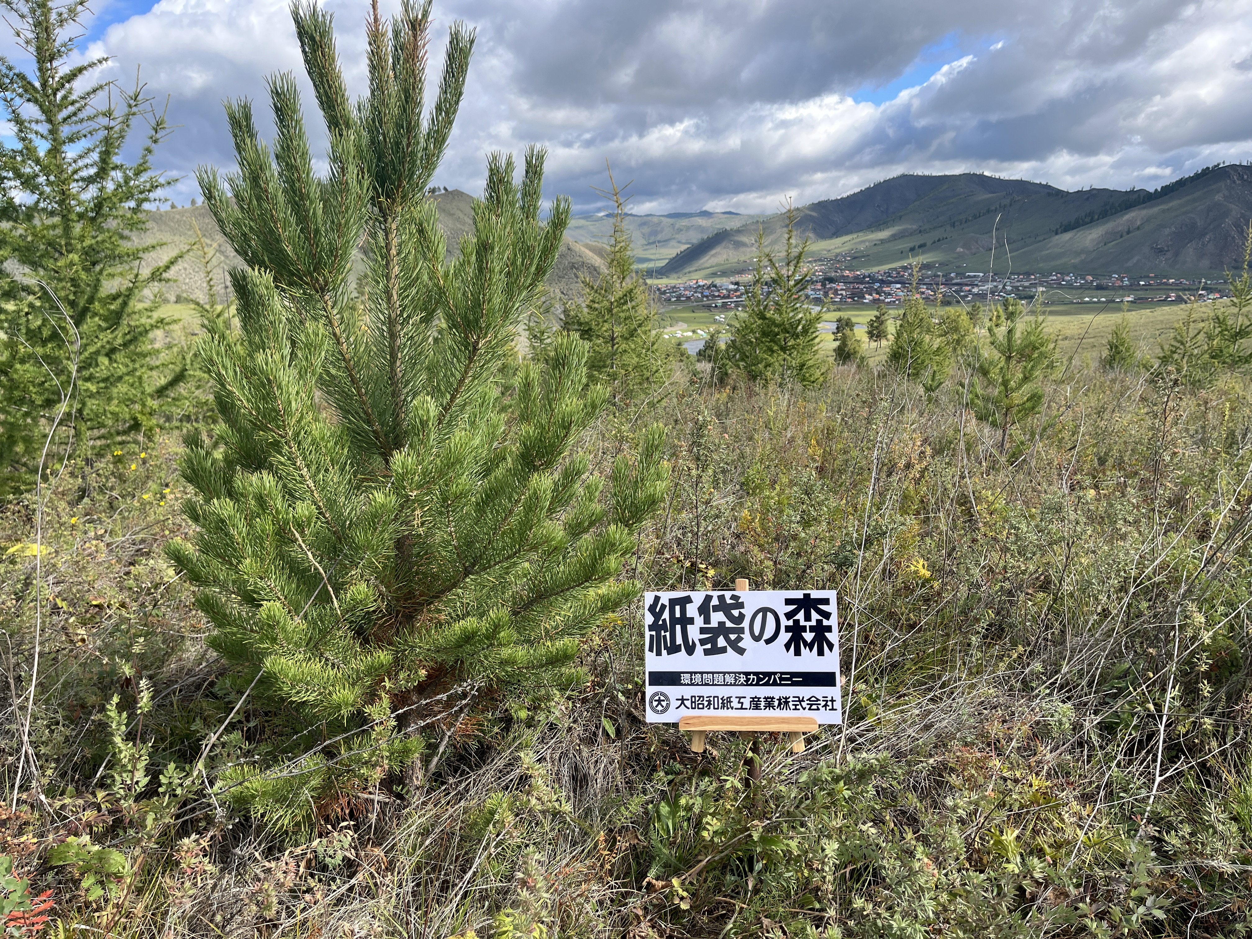 紙袋の森2025_2.jpg