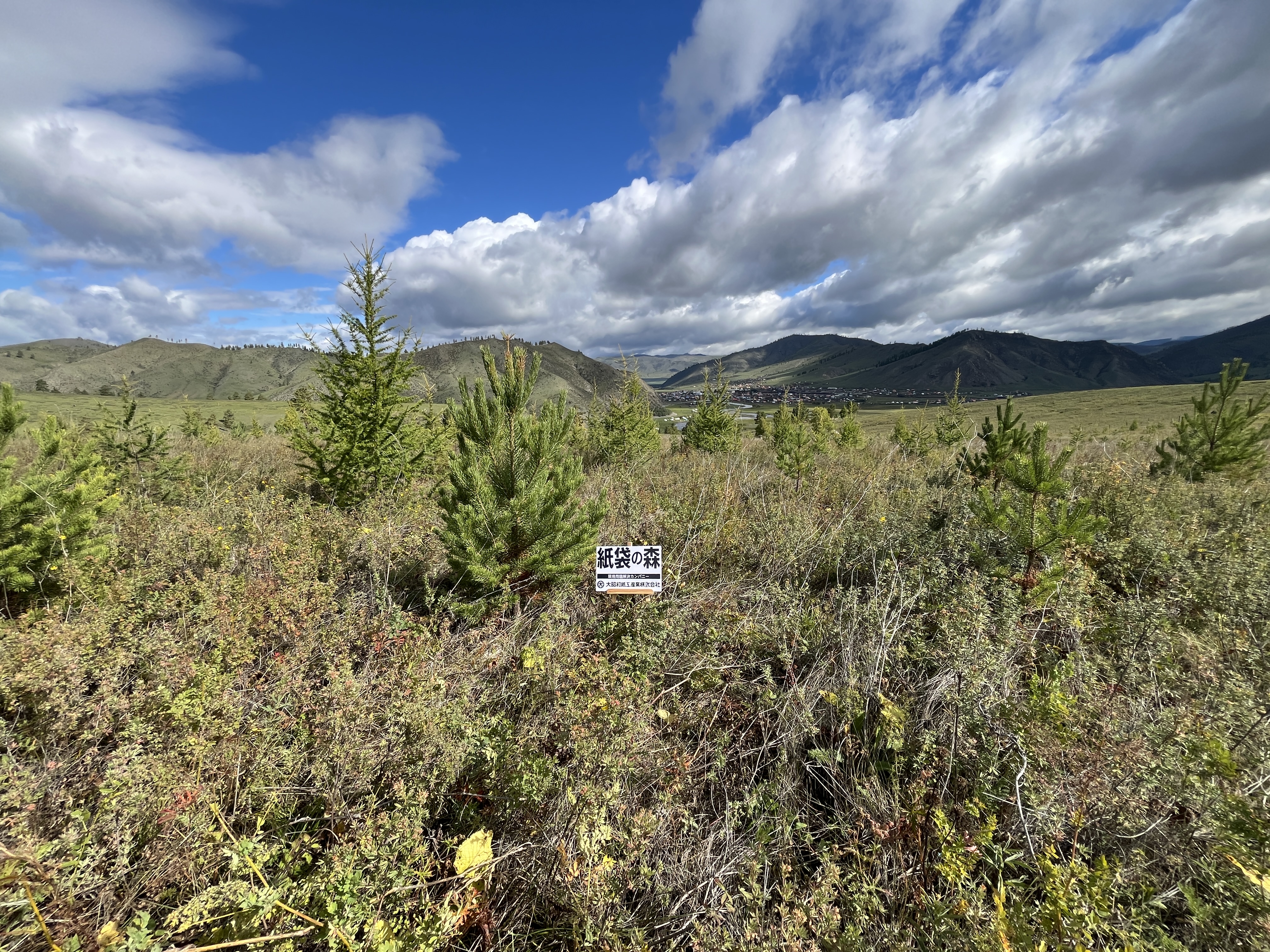 紙袋の森2025_3.jpg