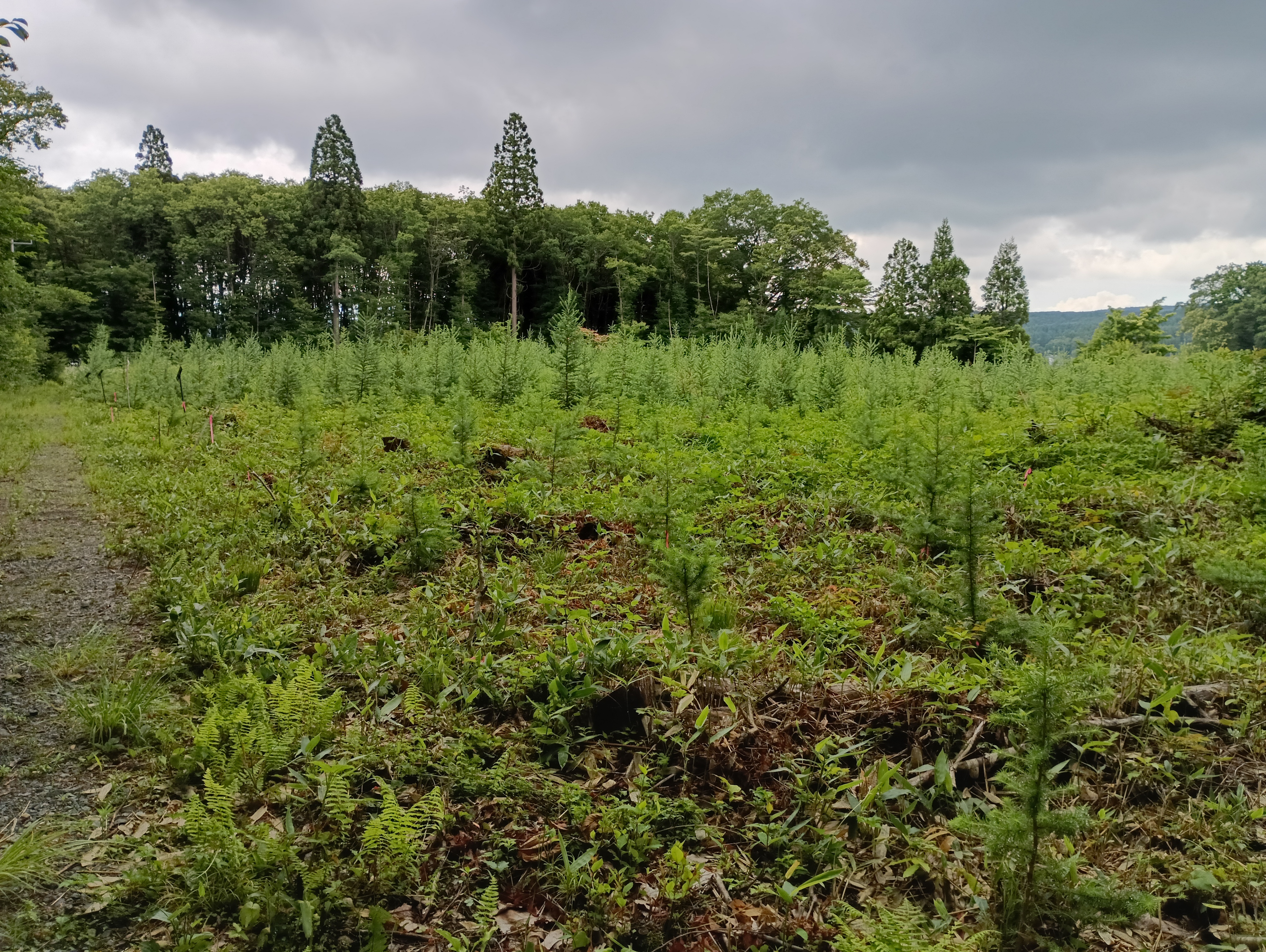 長野3.jpg
