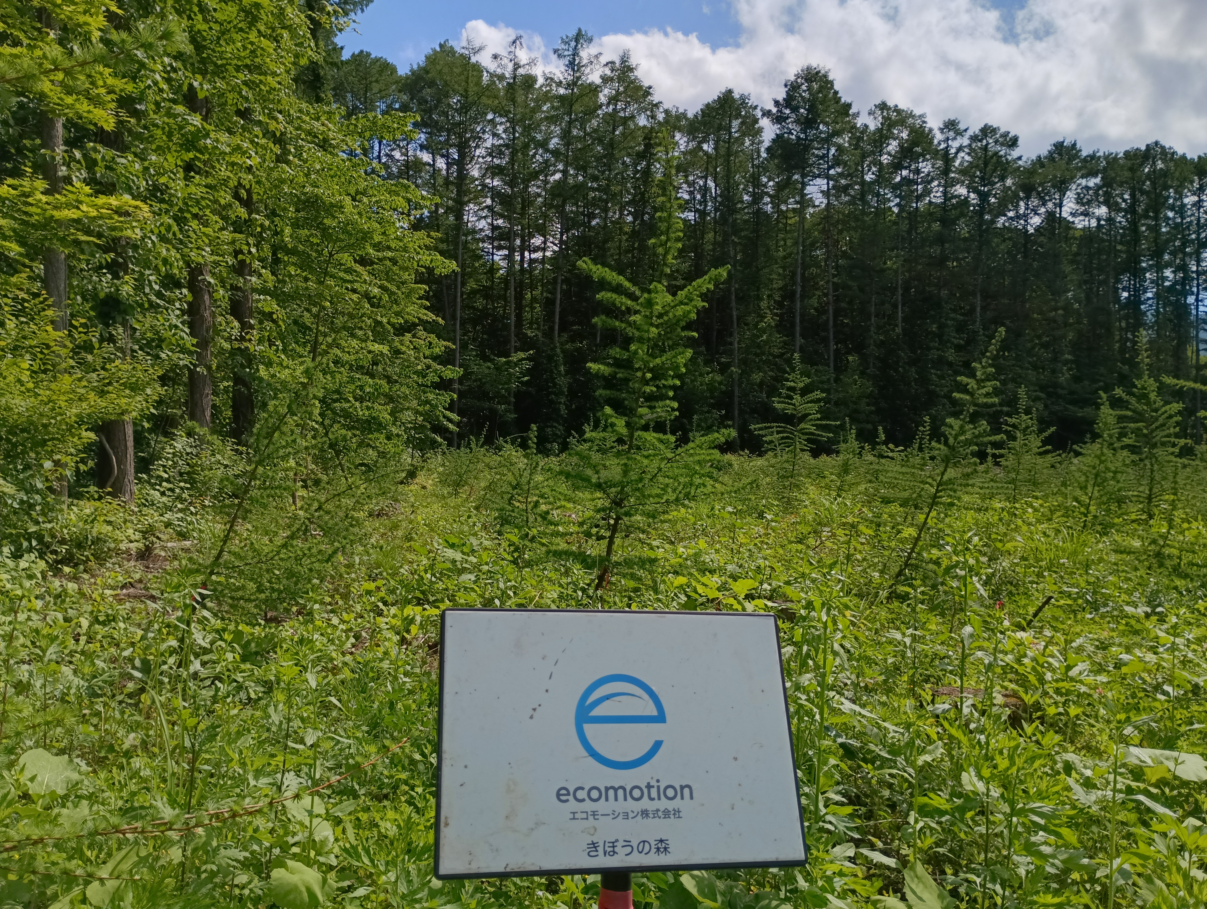 エコモーション株式会社　きぼうの森