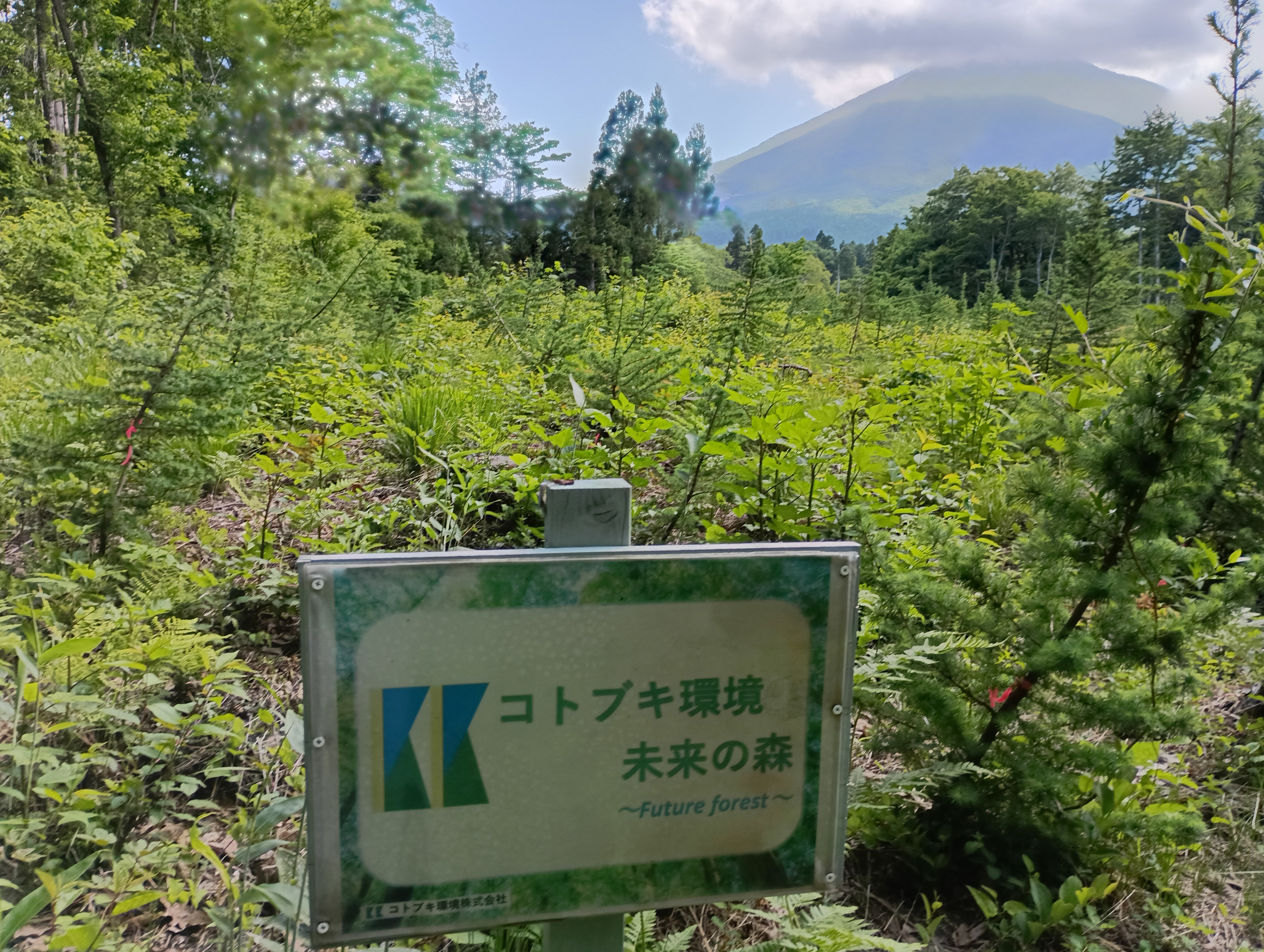 コトブキ環境未来の森