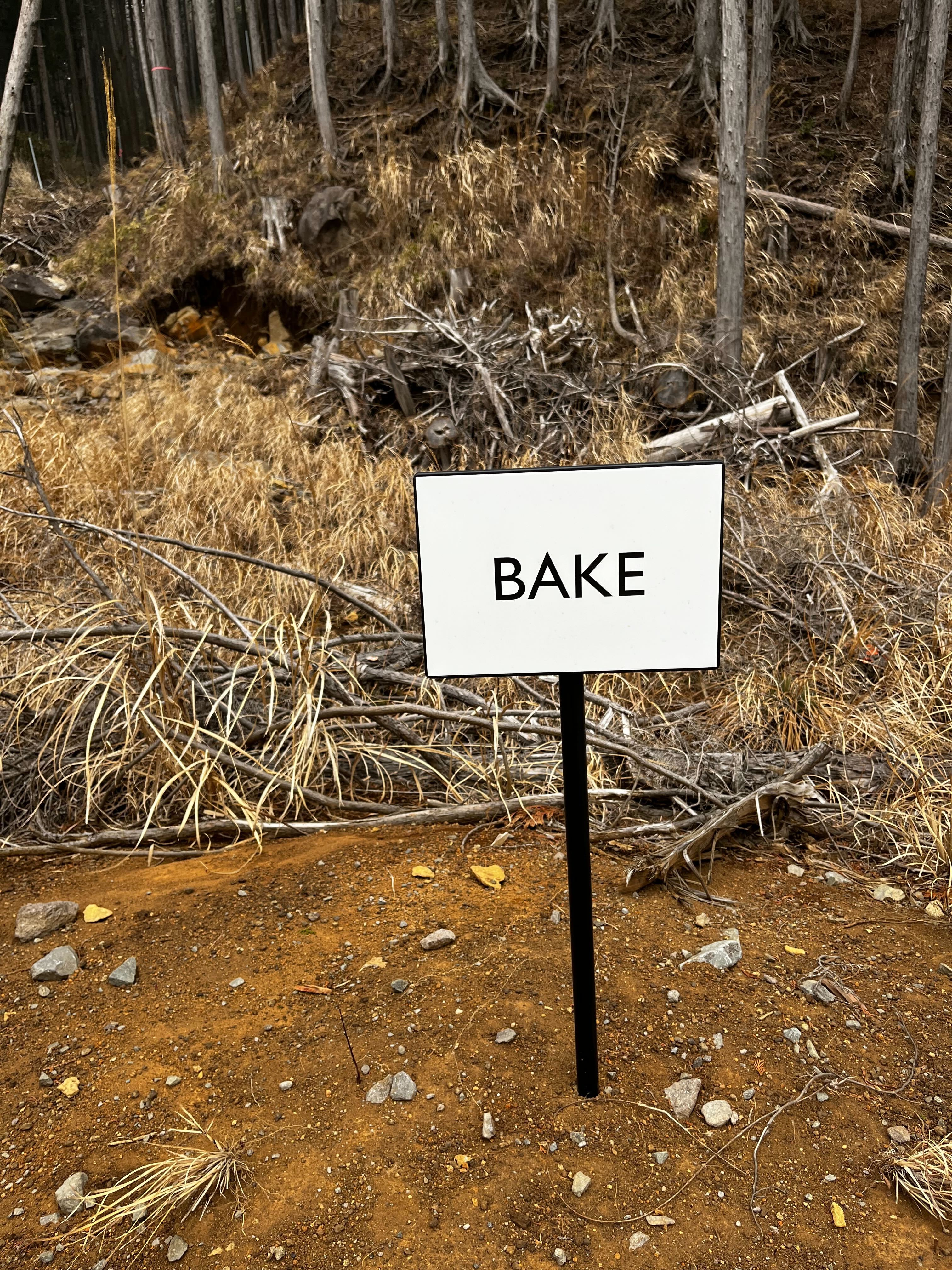 bake3.jpg