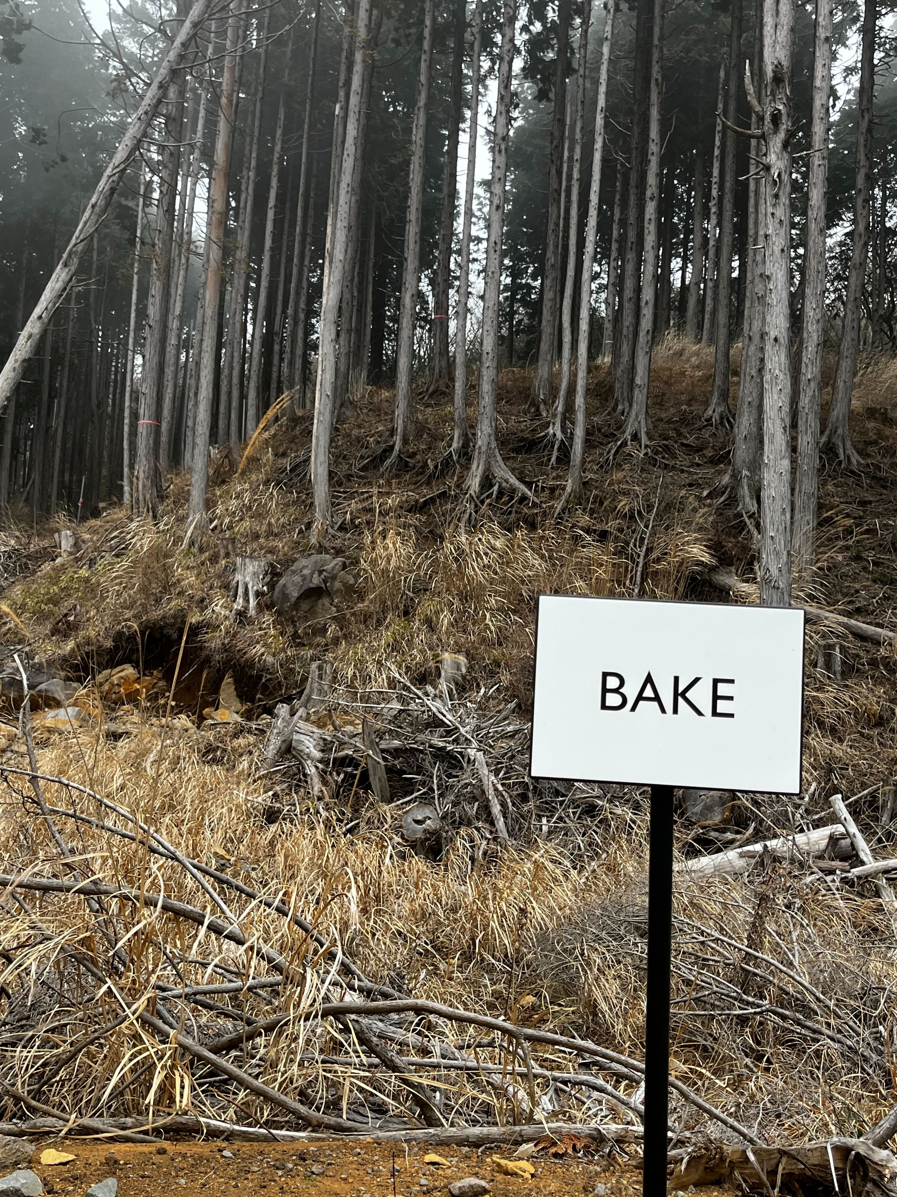 bake4.jpg