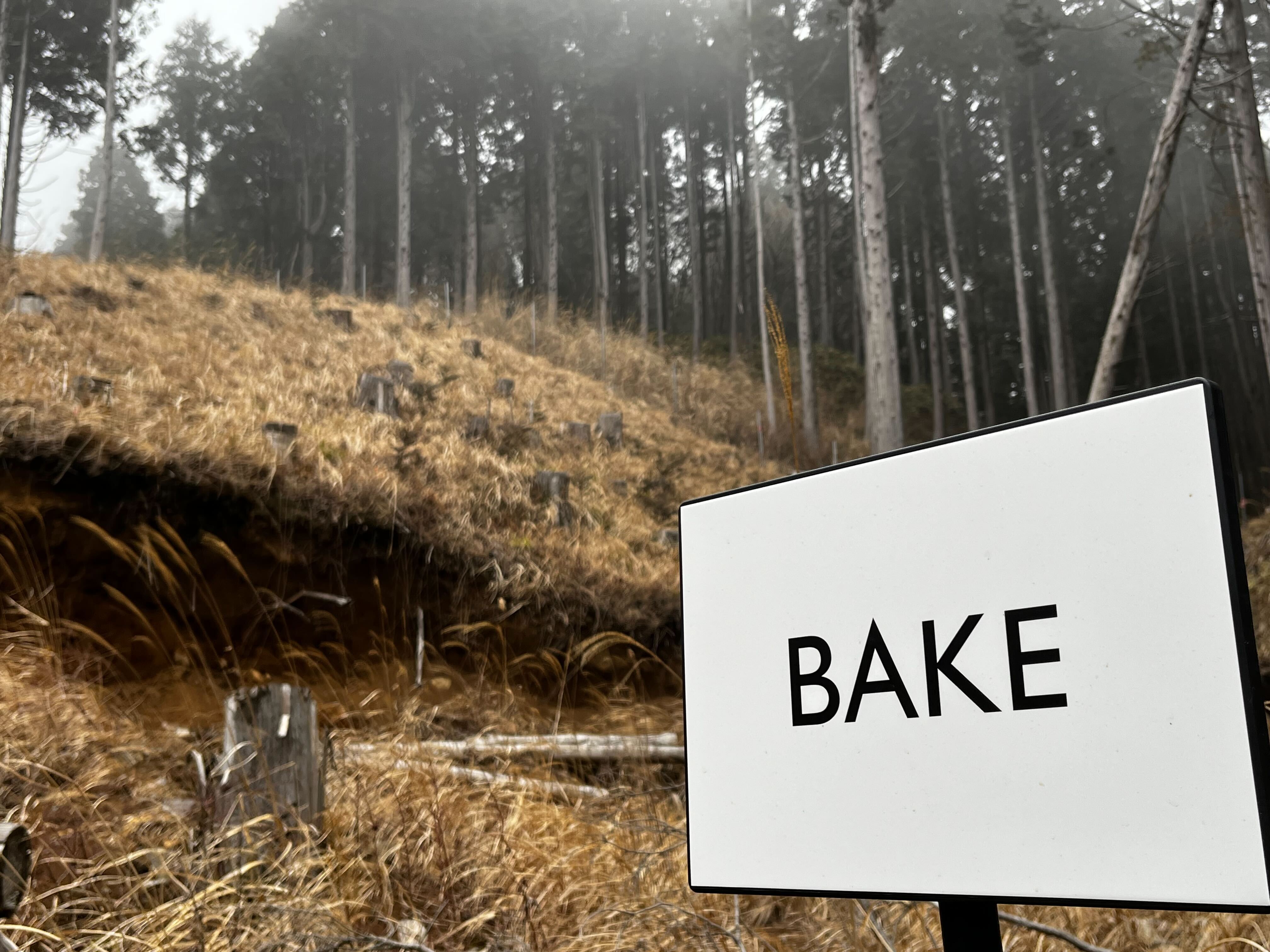 bake5.jpg