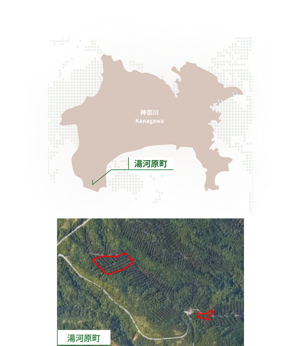 マップ
