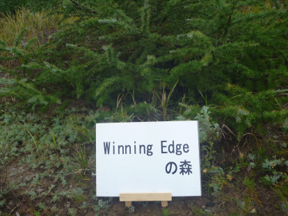 Winning Edgeの森