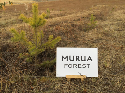 MURUAの森